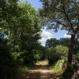 ...o all'agricoltura